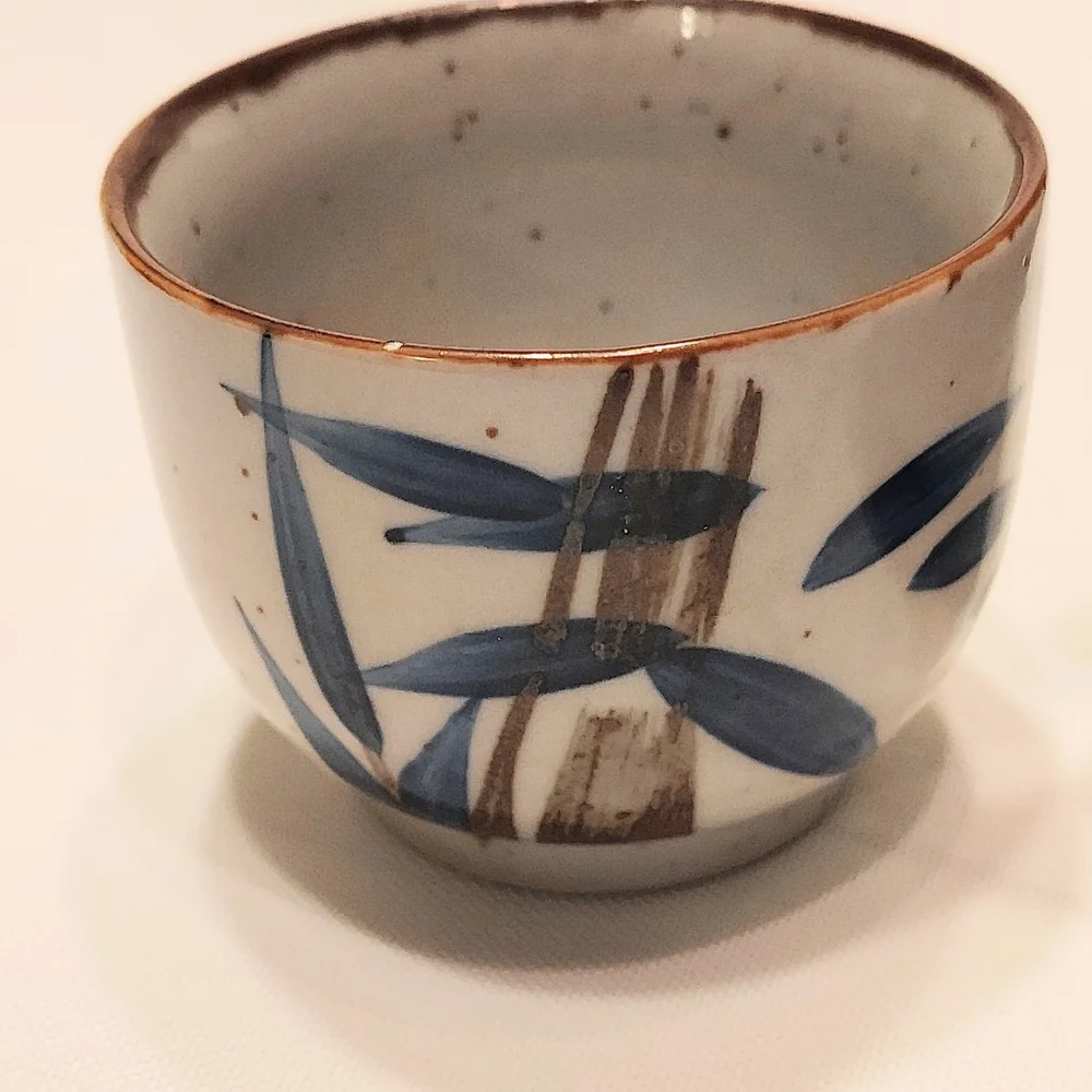 Japanese Vintage Tea Pot Set. Hand Painted Porcelain with Bamboo Handle.